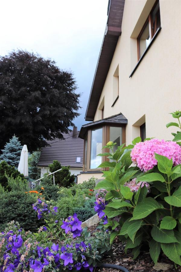 Ferienwohnung Hans Im Glueck Olbernhau Exterior photo
