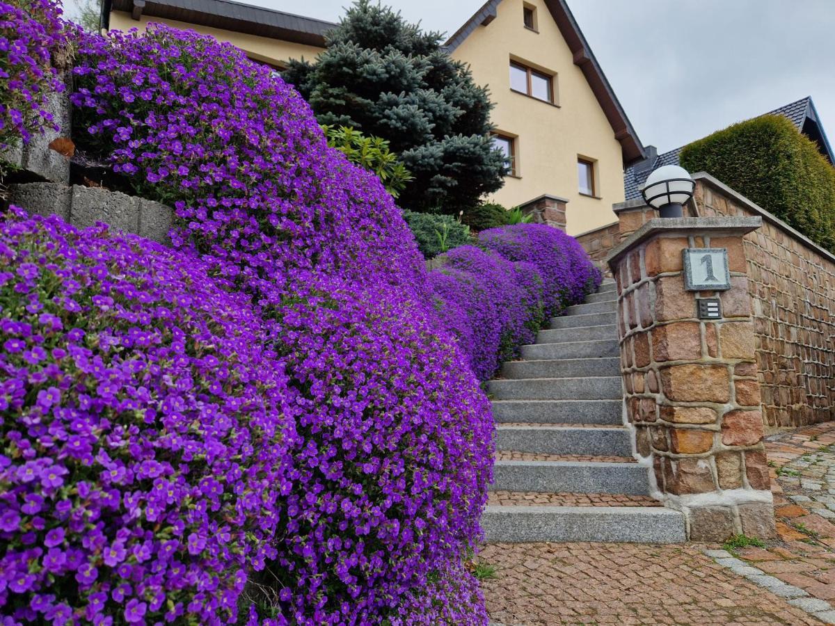 Ferienwohnung Hans Im Glueck Olbernhau Exterior photo